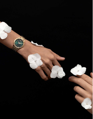 PIERRE CARDIN Ladies Watch